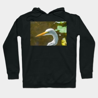 Great egret  in wildlife preserve Hoodie